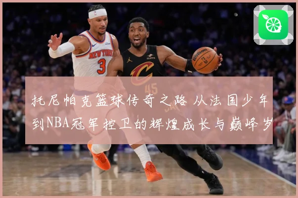 托尼帕克篮球传奇之路 从法国少年到NBA冠军控卫的辉煌成长与巅峰岁月揭秘