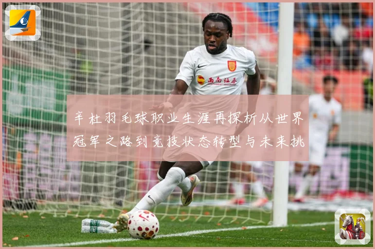 辛杜羽毛球职业生涯再探析从世界冠军之路到竞技状态转型与未来挑战